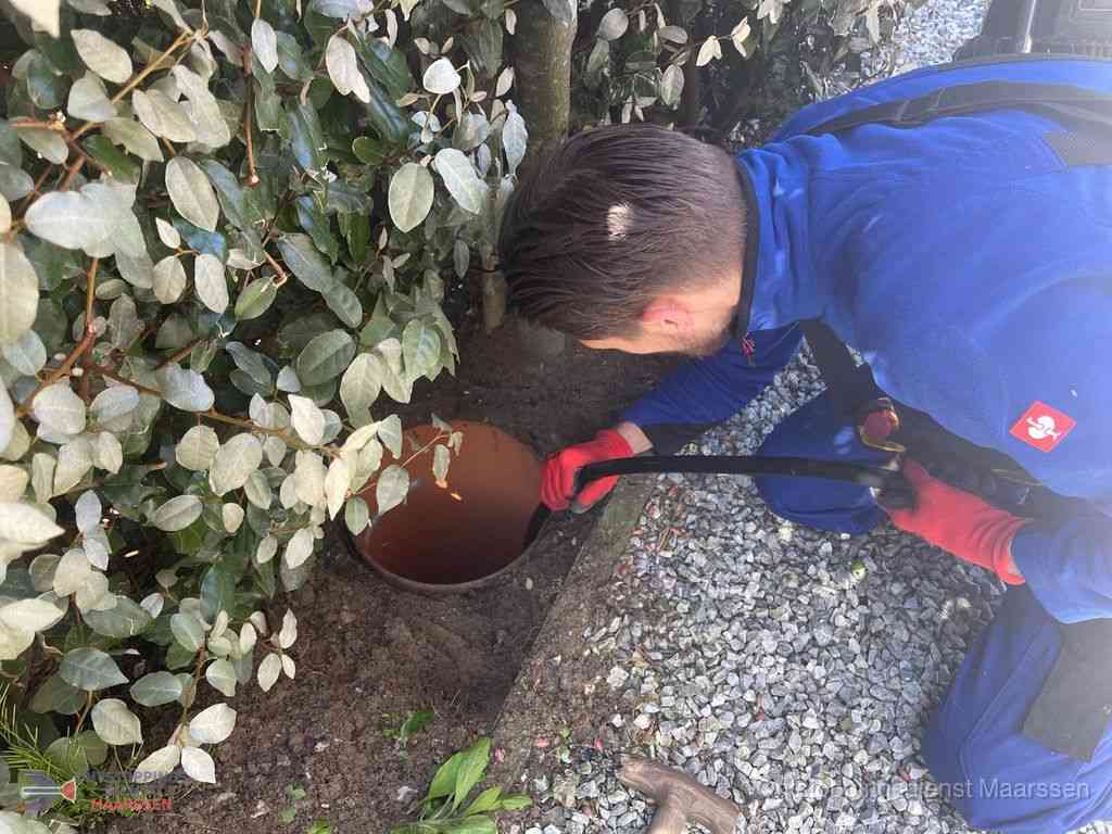 Rioolvliegjes Maarssen Rioolvliegjes Maarssen